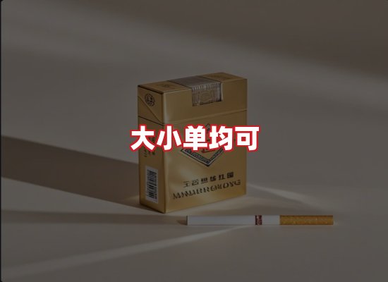 专业团队